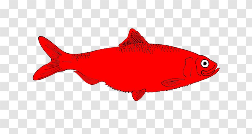 Fish Clip Art - Red Drum - Cute Salmon Cliparts Transparent PNG