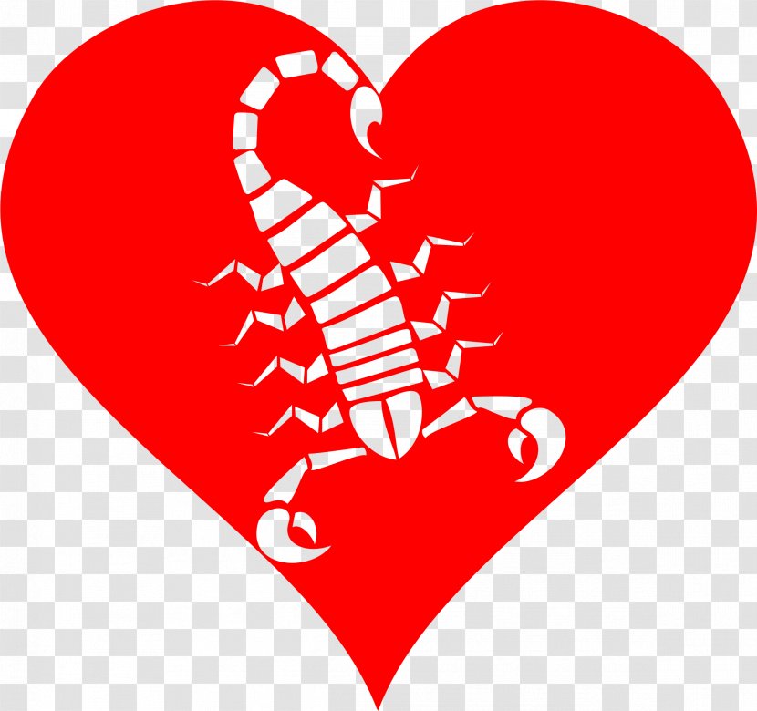 Scorpion Venom Clip Art - Frame Transparent PNG