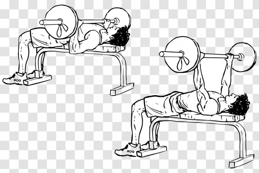 Bench Press Barbell Dumbbell Exercise - Equipment Transparent PNG