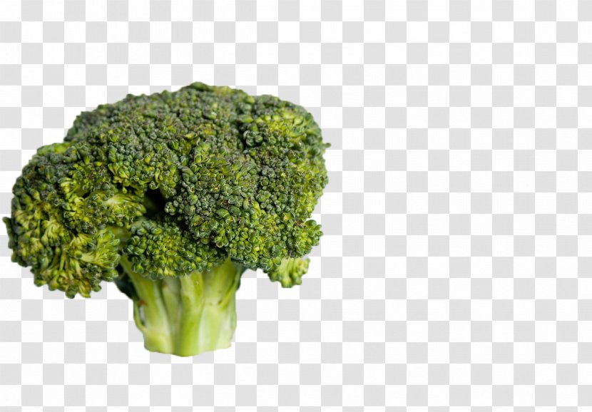 Broccoli Cauliflower Vegetarian Cuisine Raw Foodism Nutrient - Grass Transparent PNG