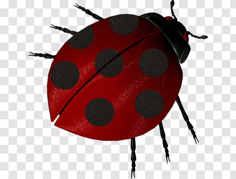 Ladybird Beetle Seven-spot Beneficial Insects - Red Transparent PNG