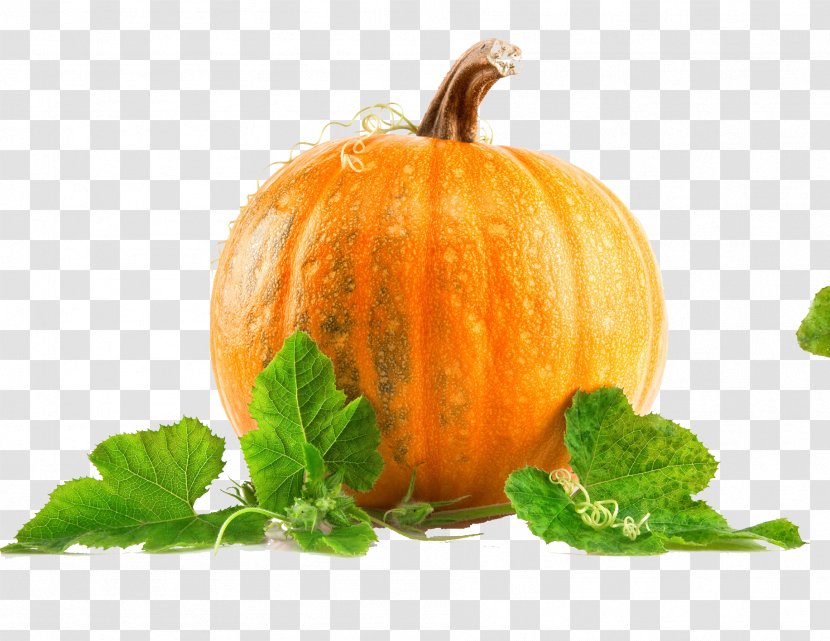 Pumpkin Pie Health Seed Nutrition - Eating - Yellow Vine Leaves The Physical Map Transparent PNG