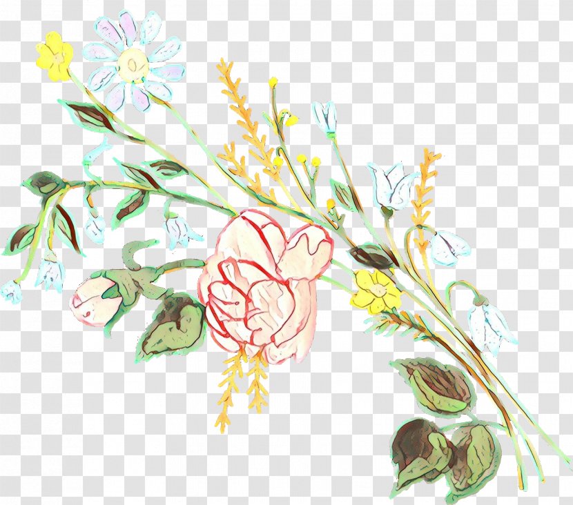 Floral Design Illustration Petal Plant Stem - Cut Flowers Transparent PNG
