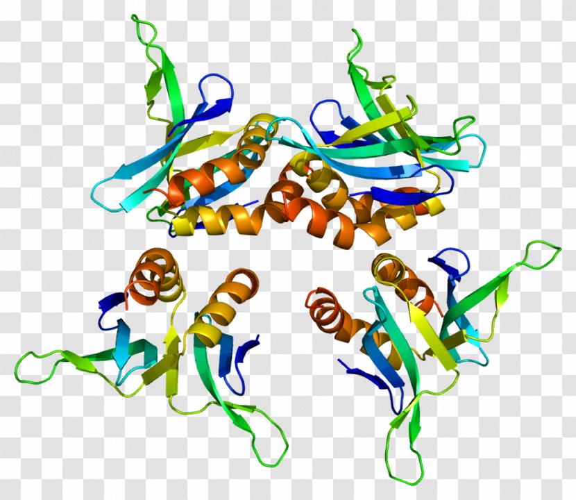 SUB1 Fusion Protein Gene Nucleolin Transparent PNG