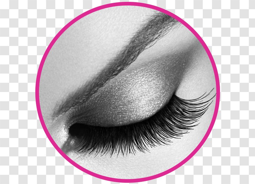 Eyelash Extensions Beauty Parlour Cosmetology Cosmetics - Lip - Bottom Lash Transparent PNG