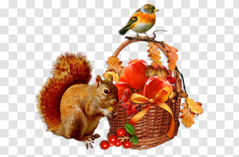 Autumn Centerblog Season Day - Blog - Cartoon Squirrel Animal Bird Sparrow Baskets Transparent PNG