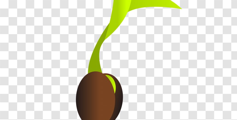 Clip Art Vector Graphics Free Content Image - Soybean - Ceylon Gooseberry Seeds Transparent PNG