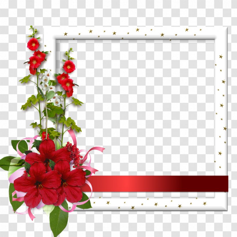 Garden Roses Royalty-free Stock Photography - Rose Order - Pilar Transparent PNG
