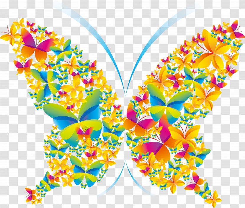 Poster Graphic Design - Photography - Butterfly Transparent PNG
