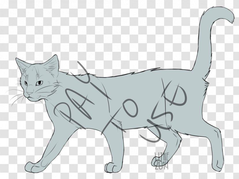 Whiskers Kitten Domestic Short-haired Cat Line Art - Shorthaired Transparent PNG