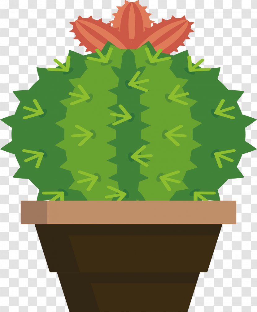 Cactaceae Viridiplantae - Leaf - Lovely Cactus Plants Transparent PNG