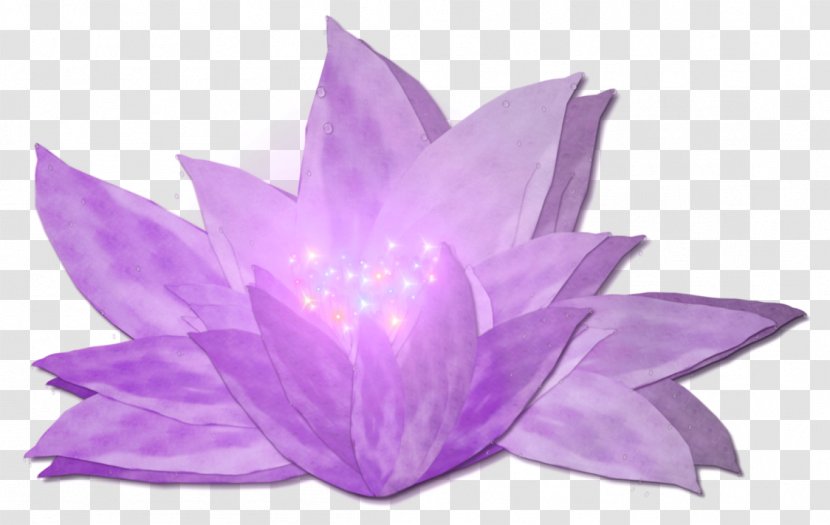 Nelumbo Nucifera Flower Lilium Clip Art - Violet Transparent PNG