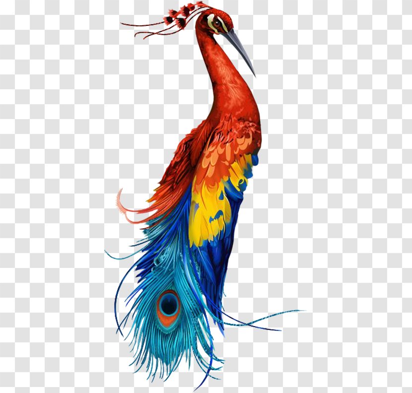 Pavo JPEG XR Clip Art - Bird - Peacock Feather Transparent PNG