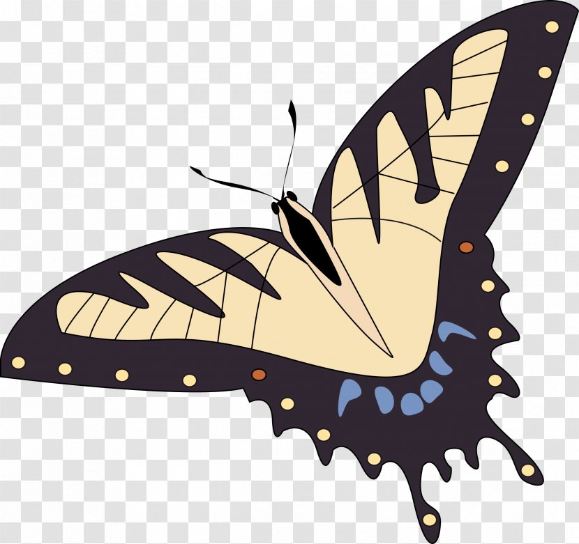 Papillon Dog Monarch Butterfly Clip Art - Insect Transparent PNG
