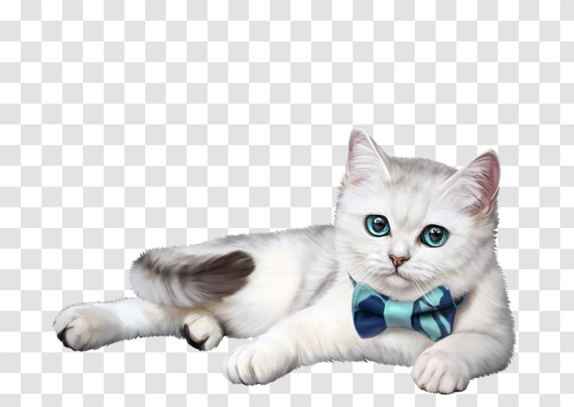 Kitten American Shorthair Whiskers Domestic Short-haired Cat British - Like Mammal Transparent PNG