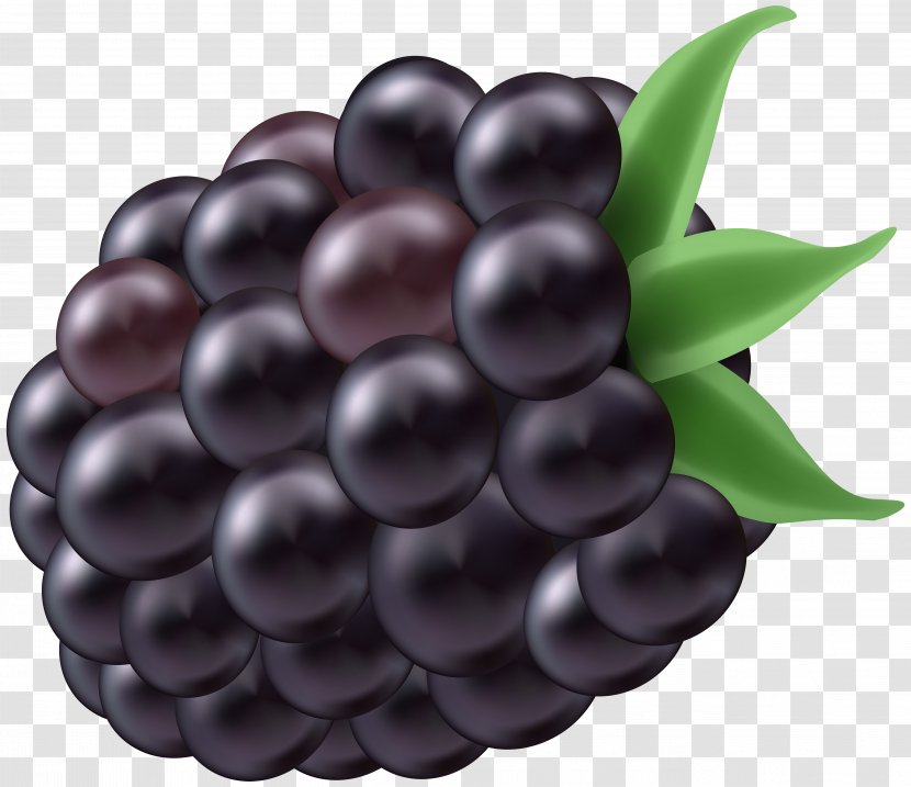 BlackBerry DTEK50 DTEK60 Clip Art - Berry - Blackberry Transparent PNG