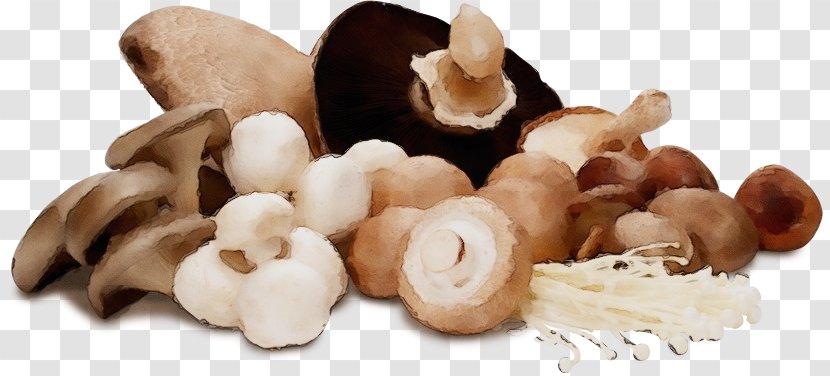 Champignon Mushroom Ingredient Shiitake Agaricus - Food - Superfood Edible Transparent PNG