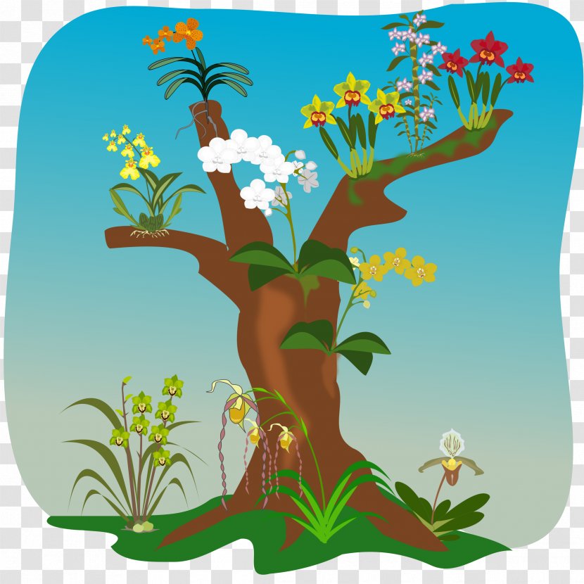 Tree Orchids Clip Art - Branch Transparent PNG