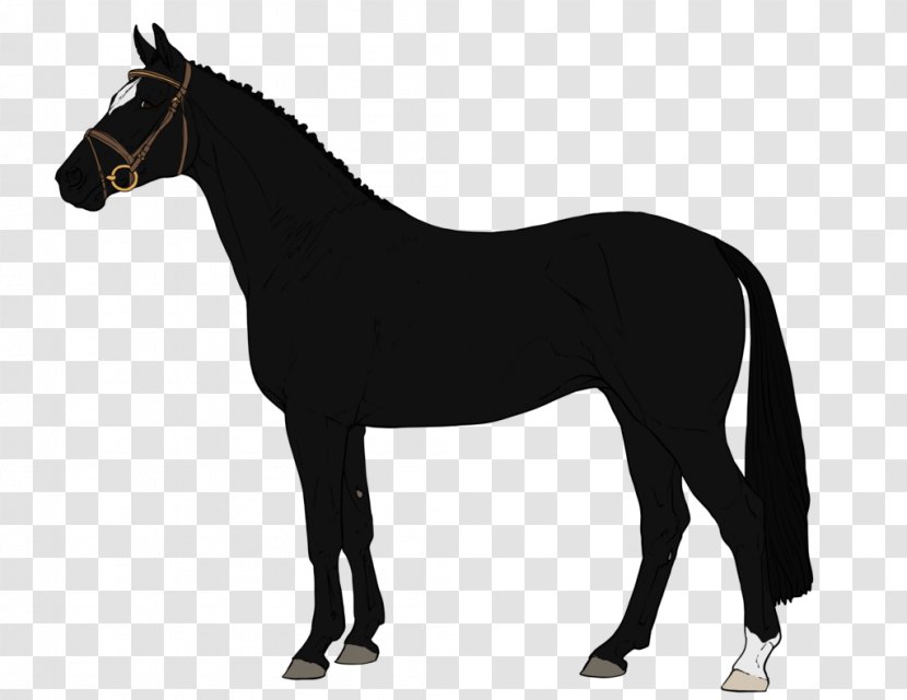 Arabian Horse American Miniature Quarter Pony - Silhouette Transparent PNG