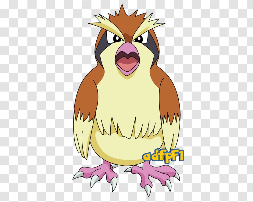 Pidgey Pidgeotto Pikachu Ash Ketchum Artist Transparent PNG