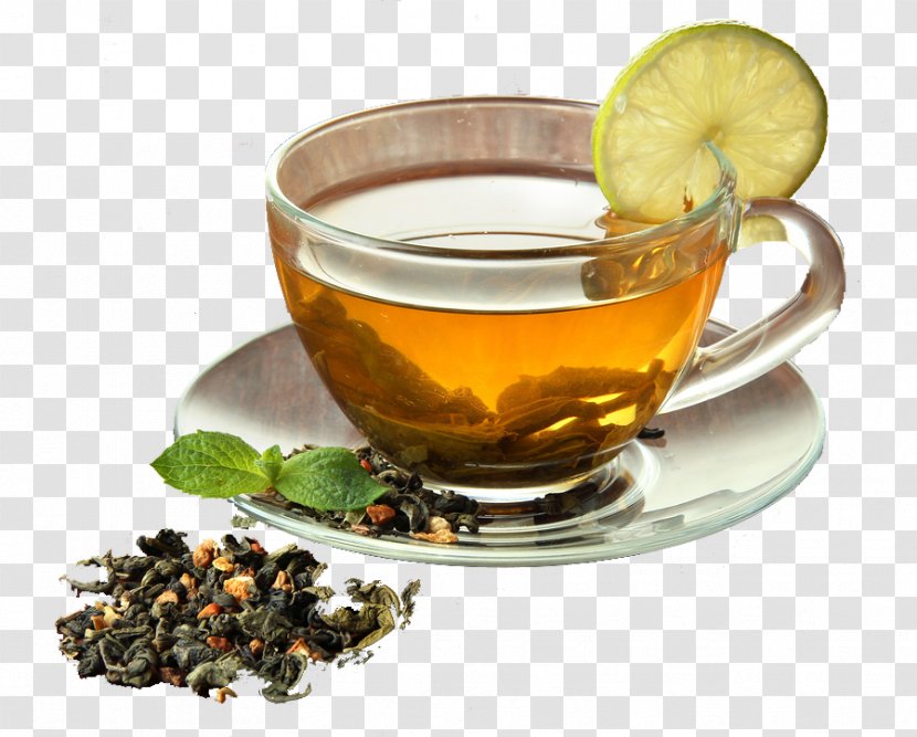 Green Tea Herbal Coffee Drink Transparent PNG