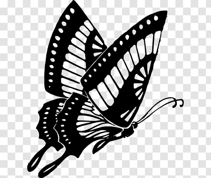 Butterfly Black And White Insect Clip Art - Drawing Transparent PNG