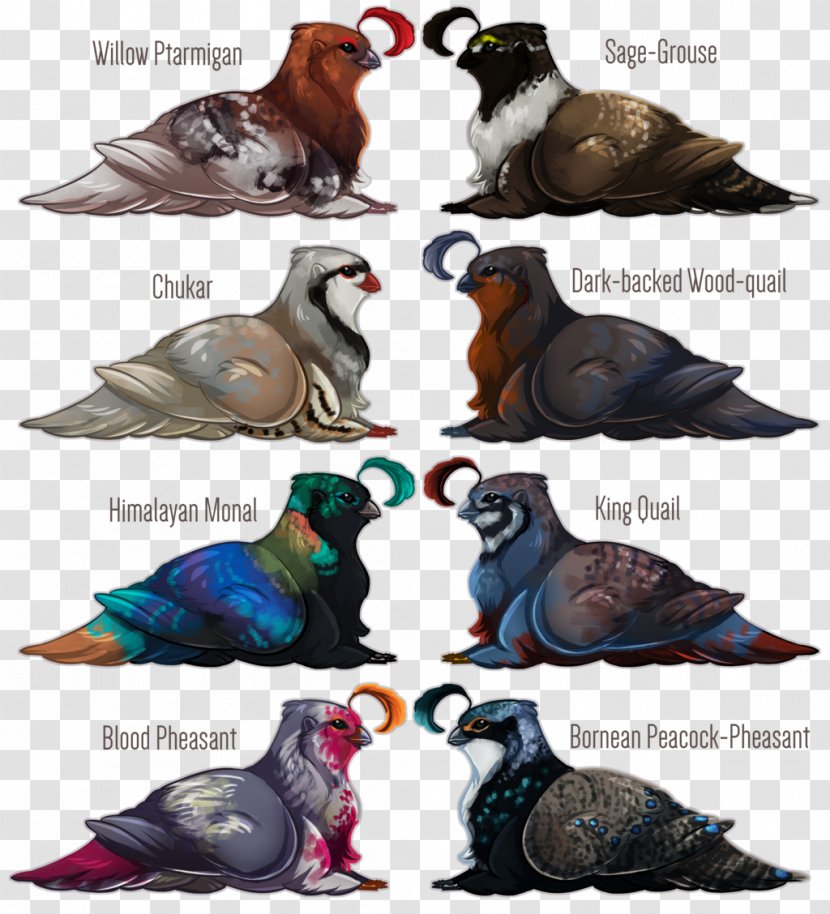 Beak Fauna Feather - Himalayan Monal Transparent PNG