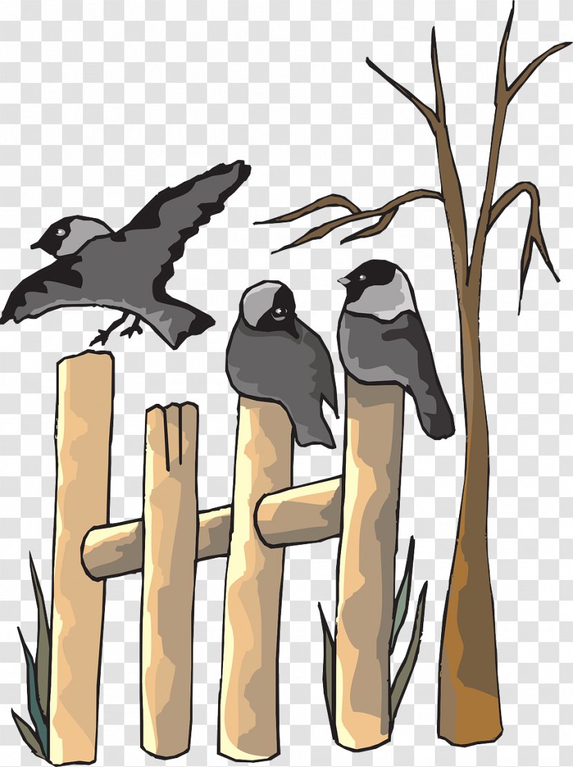 Clip Art - Beak - Wood Fence Transparent PNG