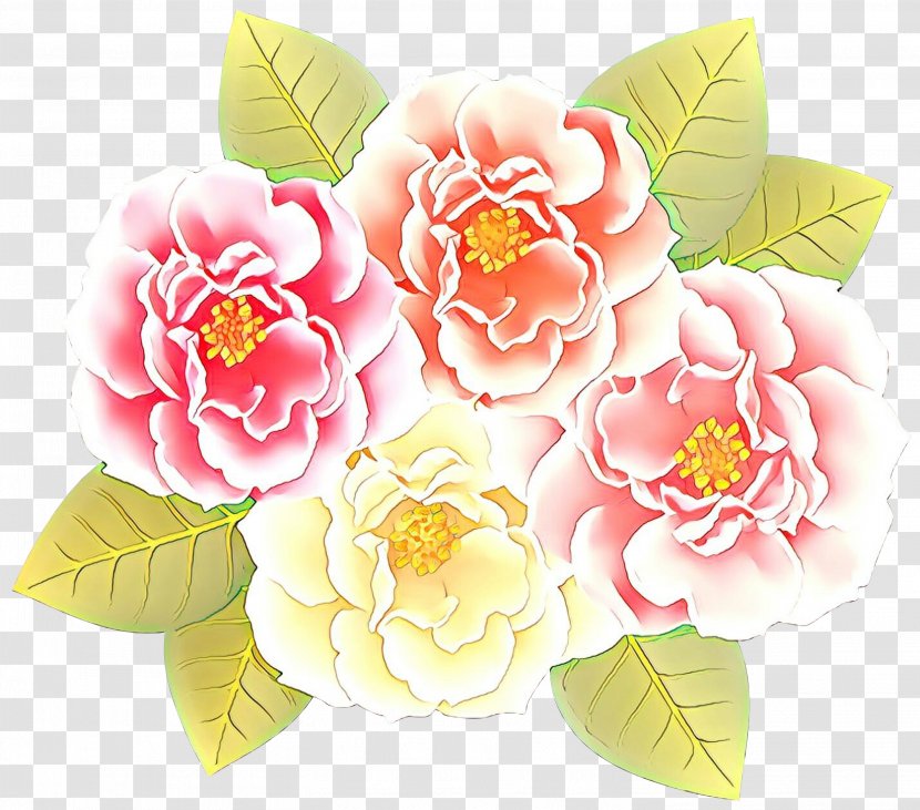 Flowers Background - Petal - Chinese Peony Japanese Camellia Transparent PNG
