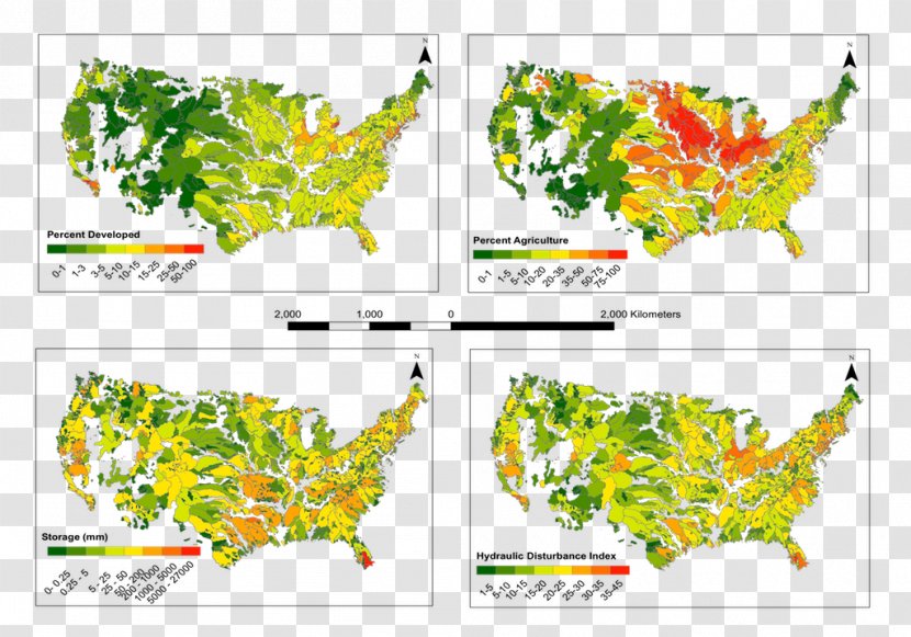 Land Cover Water Resources Leaf Hydrology - Coniferous Forest Transparent PNG