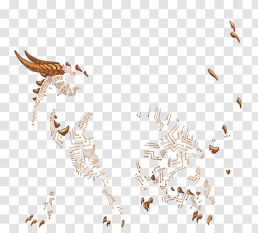 Beak Insect Feather - Organism Transparent PNG