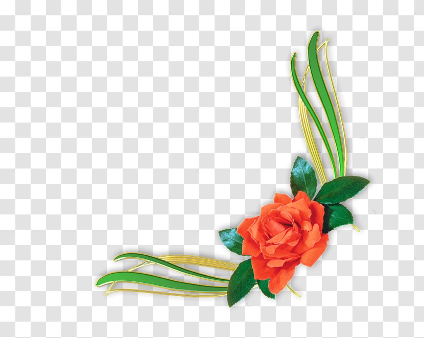 Floral Design Rose Flower Clip Art - Flowering Plant - Border Transparent PNG