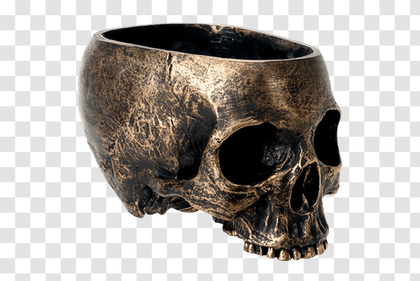 Skull Bowl Skeleton Dish Tableware - Kitchen Transparent PNG