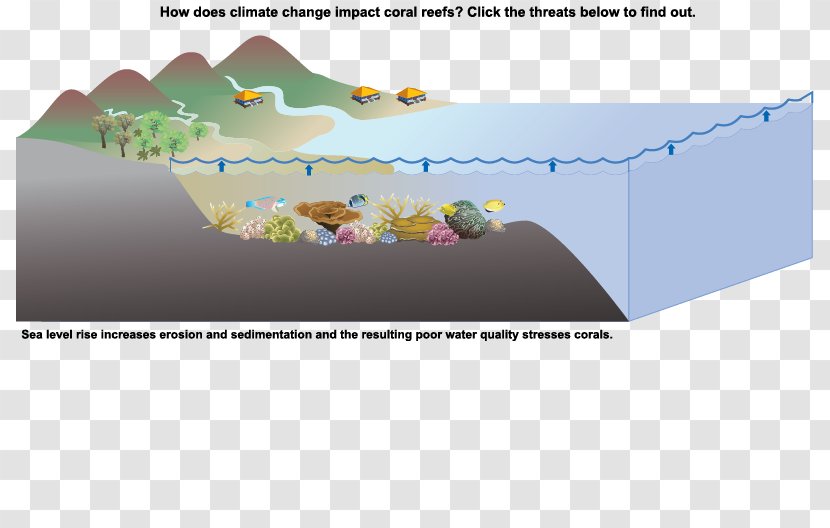 Sea Level Rise Climate Change Global Warming Ocean Acidification - Denial Transparent PNG