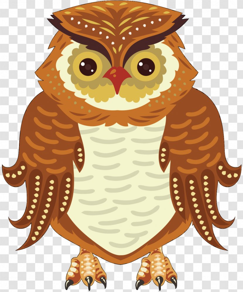 Screech Owl Sanctuary Image Photograph Illustration - Bird Of Prey - Animated Cartoon Transparent PNG