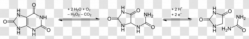 Hydantoin Condensation Reaction Heterocyclic Compound Lactam - Allantoin Transparent PNG
