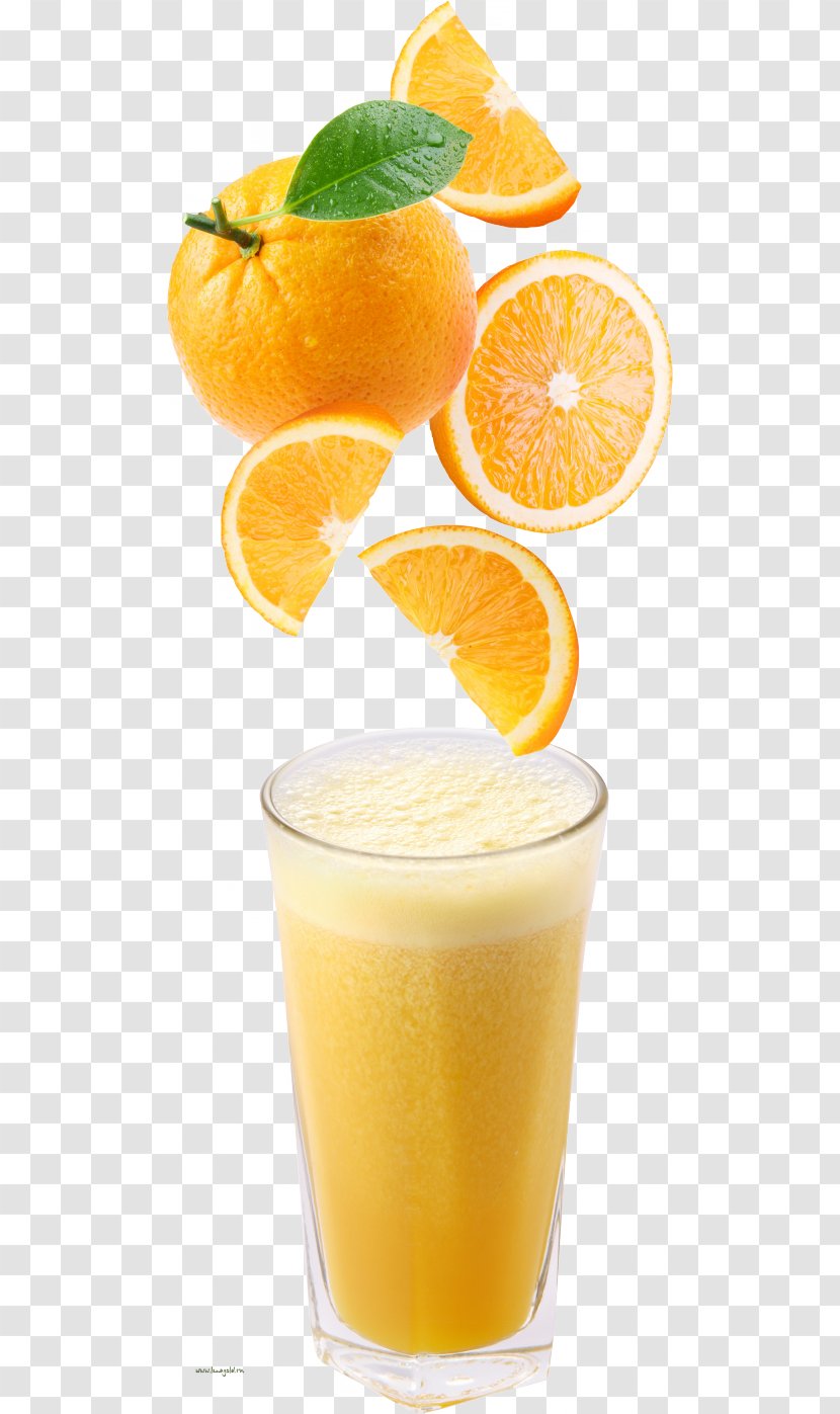 Orange Juice Cocktail Sangria Drink - Smoothie Transparent PNG