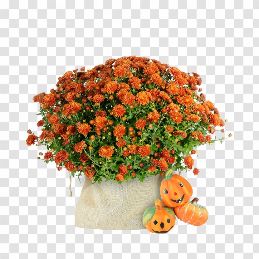GEFRO Consommé Gazpacho Soup Food - Flower Arranging - Vegetable Transparent PNG