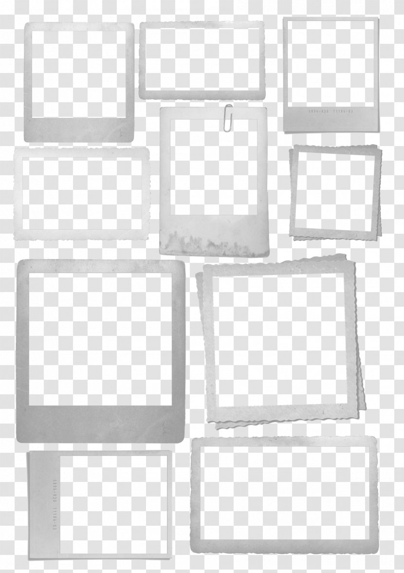 Paper Picture Frames Pattern Text Design - Living Thing Transparent PNG