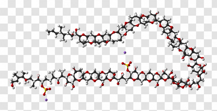 Maitotoxin Space-filling Model Nuclear Magnetic Resonance Spectroscopy Wikimedia Commons Molecule - Chemical Formula Transparent PNG