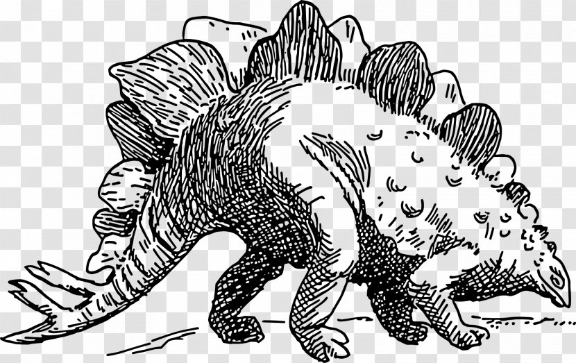 Stegosaurus Tyrannosaurus Brachiosaurus Triceratops Dinosaur - Black And White Transparent PNG