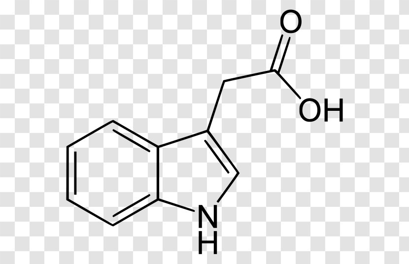 Indole-3-acetic Acid Indole-3-butyric Auxin - Black And White - Phototropism Transparent PNG