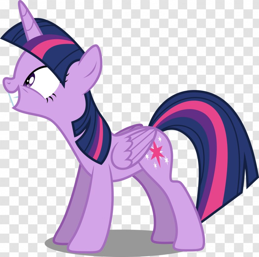 Twilight Sparkle My Little Pony Cat Winged Unicorn - Small To Medium Sized Cats Transparent PNG