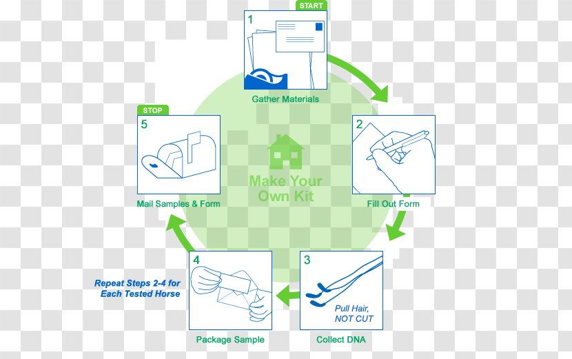 Brand Line Organization Point - Material Transparent PNG