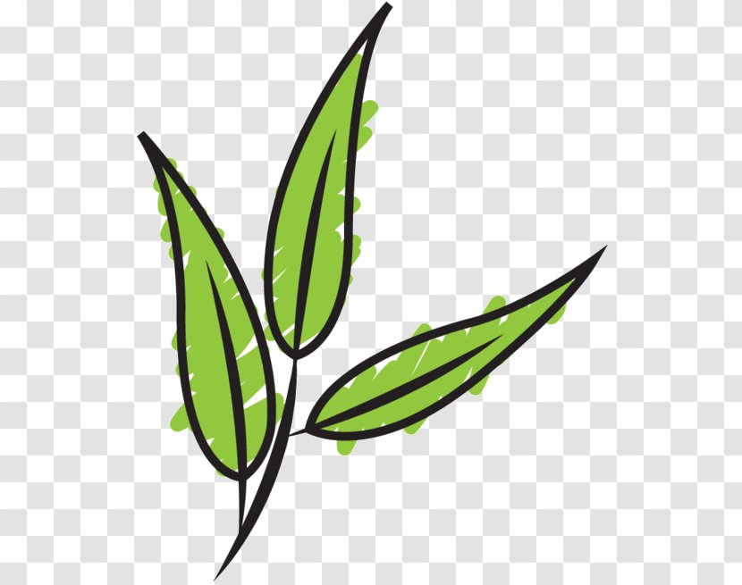 Clip Art Leaf Plant Stem Line Grasses - Terrestrial Transparent PNG
