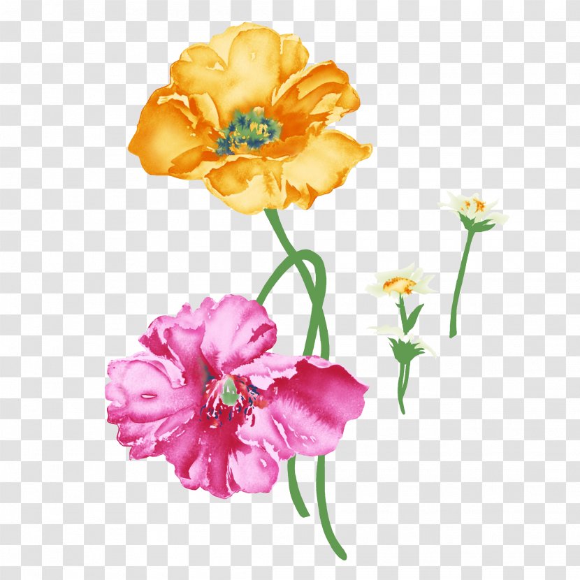 Flower Rosa Chinensis Painting Illustration - Plant - Flowers Transparent PNG