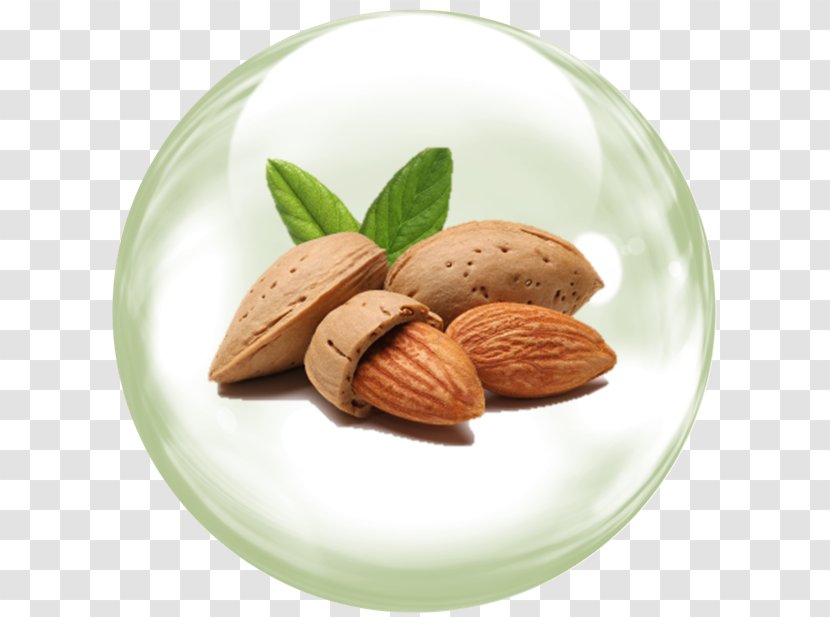 Almond Oil Flavor Food Health - Vitamin Transparent PNG