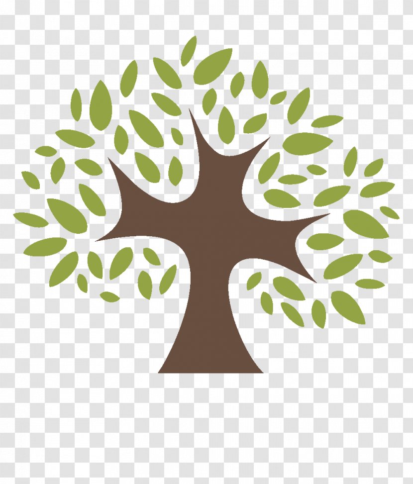 Green Leaf Tree Plant Font - Logo Visual Arts Transparent PNG