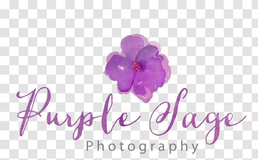 Purple Sage Photography Portrait - Grape Logo Transparent PNG