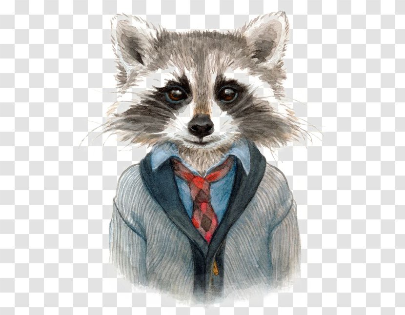 Raccoon Drawing Art Painting Illustration - Whiskers - Cartoon Transparent PNG